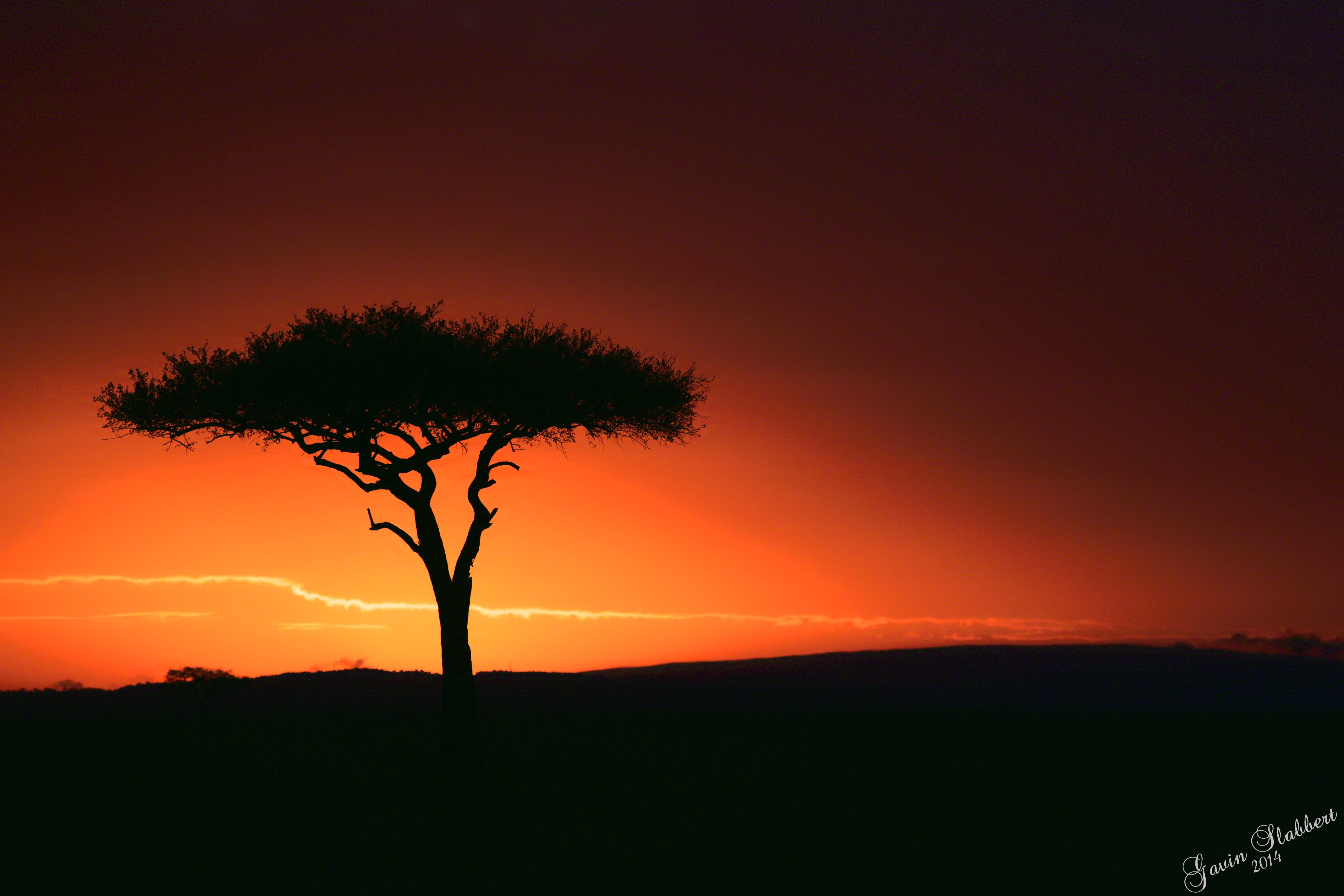  GFS0634-Kenyan Sunset